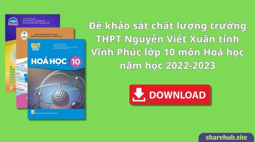 Đề khảo sát chất lượng trường THPT Nguyễn Viết Xuân tỉnh Vĩnh Phúc lớp 10 môn Hoá học năm học 2022-2023