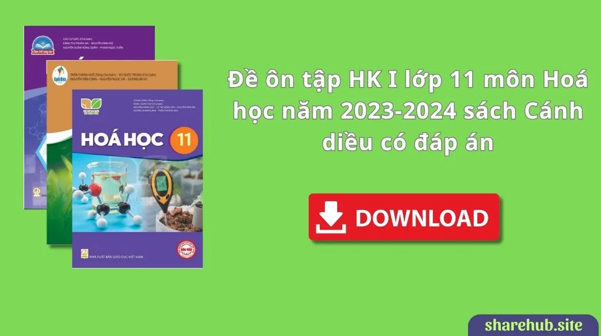 Đề ôn tập HK I lớp 11 môn Hoá học năm 2023-2024 sách Cánh diều có đáp án