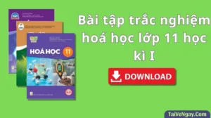 Bài tập trắc nghiệm hoá học lớp 11 học kì I