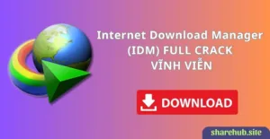 IDM 6.42 build 2 Crack vĩnh viễn 2024